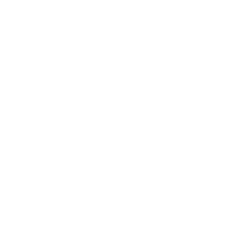 Royn Global Yatırım